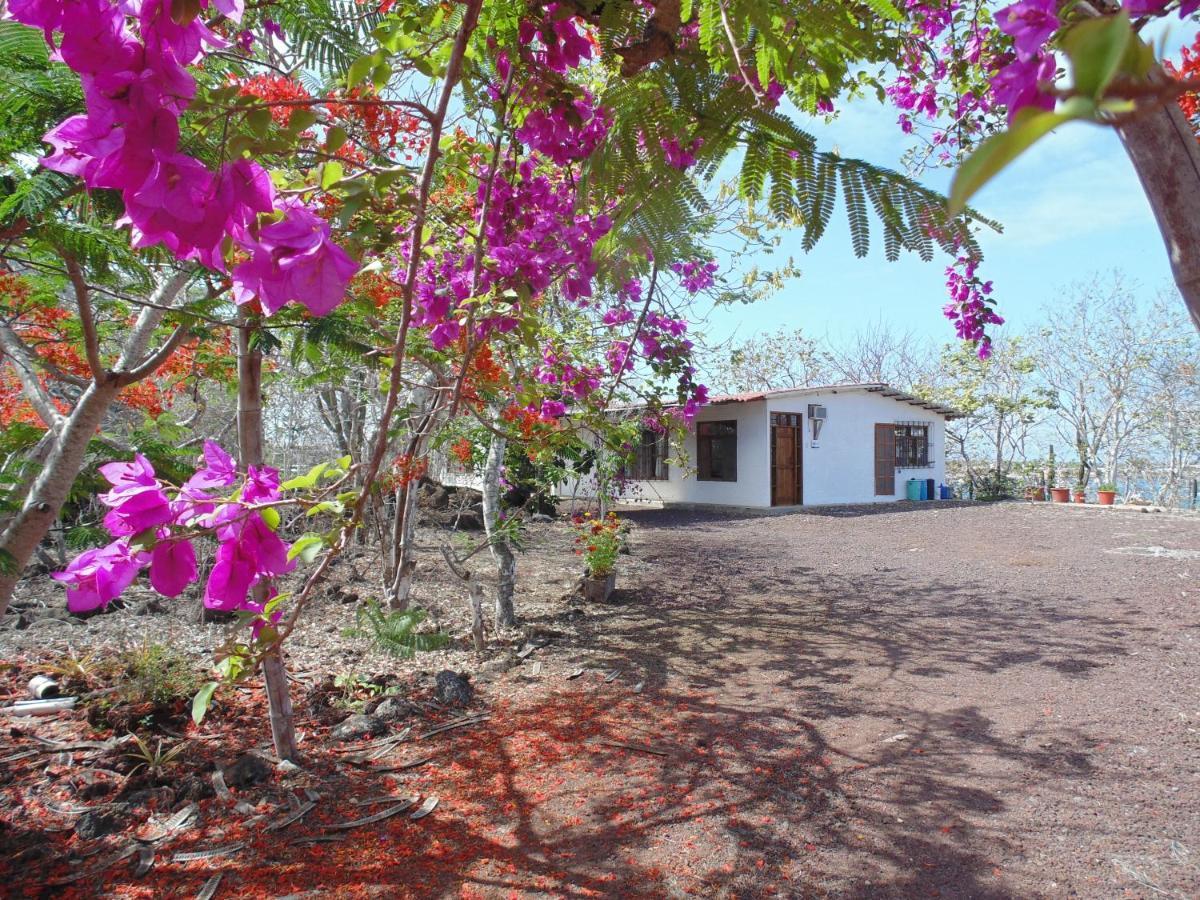 Casa Verde Vacation Garden Home Сан-Кристобаль Экстерьер фото